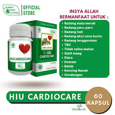 HIU Cardiocare Hiucardiocare Obat Herbal Penyakit Jantung Herbal Indo Utama - Gambar 4