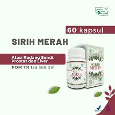 HIU Kapsul Sirih Merah Herbal Indo Utama 60 Kapsul - Gambar 4