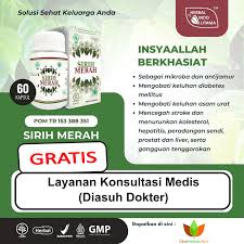 HIU Kapsul Sirih Merah Herbal Indo Utama 60 Kapsul - Gambar 3