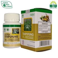 HIU Tempuyung - Obat Herbal Penghancur Batu Ginjal Herbal Indo Utama - Gambar 4