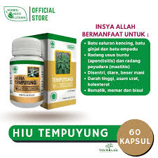 HIU Tempuyung - Obat Herbal Penghancur Batu Ginjal Herbal Indo Utama - Gambar 3