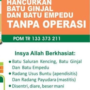 HIU Tempuyung - Obat Herbal Penghancur Batu Ginjal Herbal Indo Utama - Gambar 2