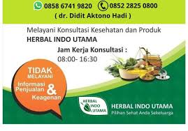 HIU Tempuyung - Obat Herbal Penghancur Batu Ginjal Herbal Indo Utama - Gambar 5