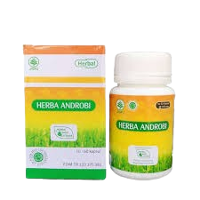 HIU_Androbi_Herbal_Indo_Utama_-_Obat_Herbal_Radang_Kencing_Nanah_-_Antibiotik_Herbal_1