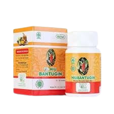 HIU_Bantugin_-_Obat_Herbal_Batu_Ginjal_-_Bantugin_Bantu_Gin_Herbal_Indo_Utama_7