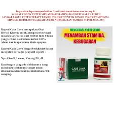 Kapsul Ekstrak Cabe Jawa Obat Herbal Lemah Syahwat Herbal Indo Utama - Gambar 5