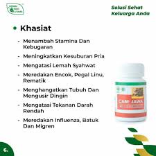 Kapsul Ekstrak Cabe Jawa Obat Herbal Lemah Syahwat Herbal Indo Utama - Gambar 4