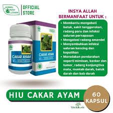 Kapsul Ekstrak Cakar Ayam HIU Obat Herbal Pendarahan dan Mimisan Herbal Indo Utama - Gambar 5