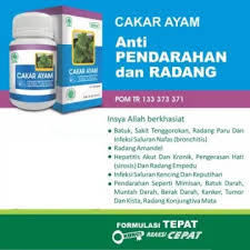 Kapsul Ekstrak Cakar Ayam HIU Obat Herbal Pendarahan dan Mimisan Herbal Indo Utama - Gambar 4